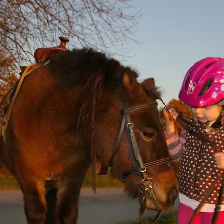Farm stay Familienbauernhof Prediger