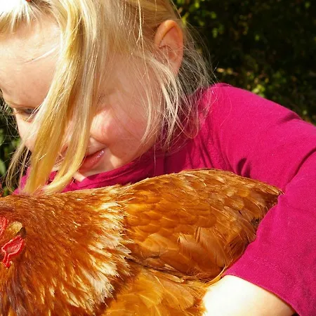 Farm stay Familienbauernhof Prediger *
