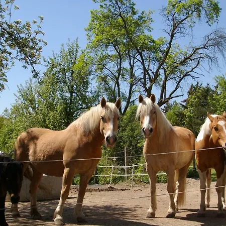 Farm stay Familienbauernhof Prediger