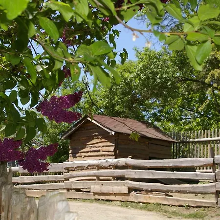 Familienbauernhof Prediger Zeulenroda-Triebes