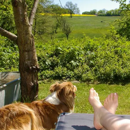 Familienbauernhof Prediger Farm stay Zeulenroda-Triebes