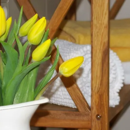 Familienbauernhof Prediger Farm stay Zeulenroda-Triebes