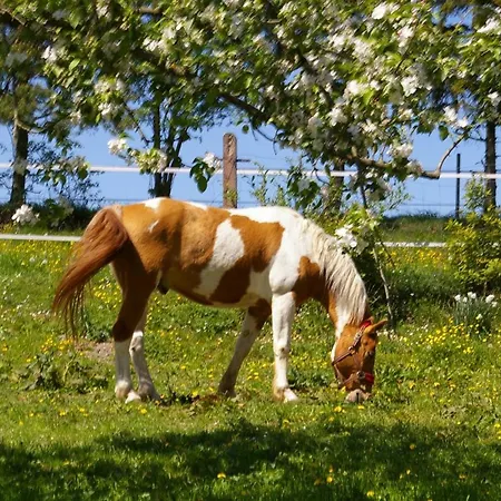 Familienbauernhof Prediger Farm stay Zeulenroda-Triebes