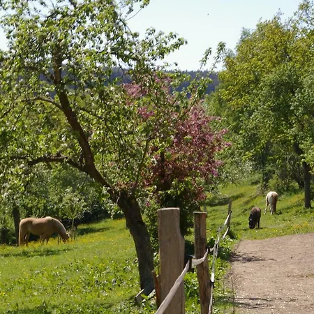Familienbauernhof Prediger Bauernhof *